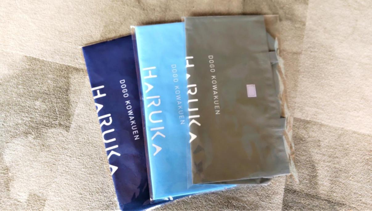 Kowakuen Haruka Ξενοδοχείο Ματσουγιάμα Εξωτερικό φωτογραφία
